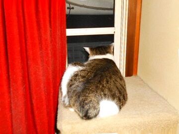 10月18日（28）仮