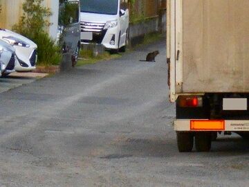 5月24日（26）仮