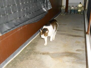 1月22日（65）仮