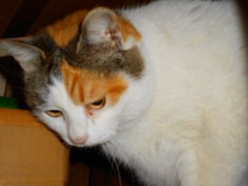 3月24日（17）仮