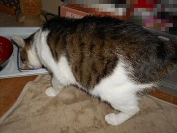 6月25日（49）仮