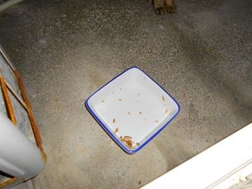 12月13日（51）仮