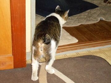 6月25日（45）仮