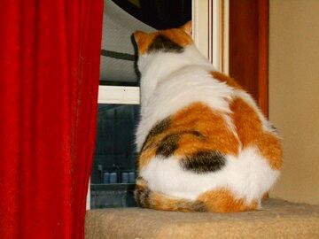 10月18日（2）仮