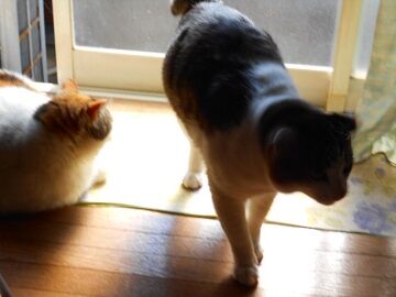 4月10日（18）仮