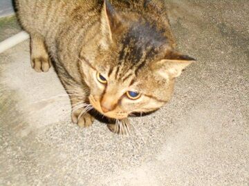 12月13日（56）仮