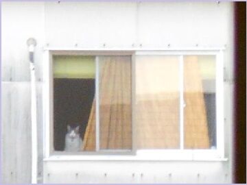 6月27日（14）仮