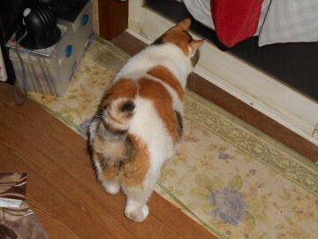 9月21日（3-12）仮