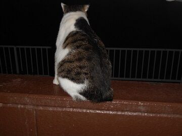 9月13日（18-6）仮