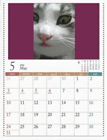 5月