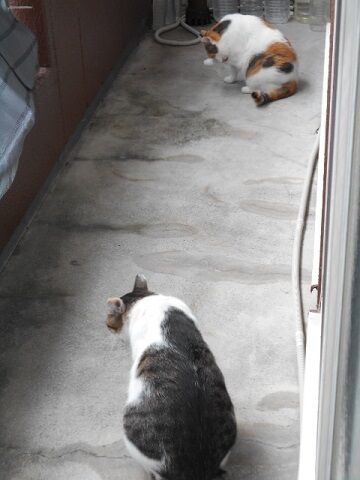 9月16日（10-4）仮