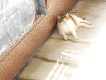 7月1日(7)仮