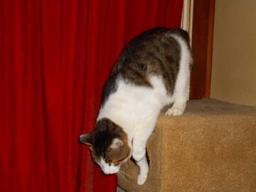 11月19日（23）仮