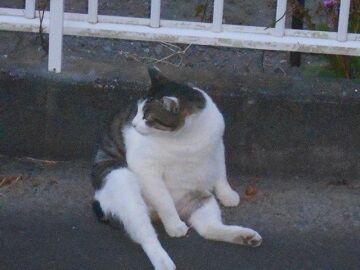 4月26日（17）仮