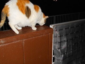 12月24日（29）仮