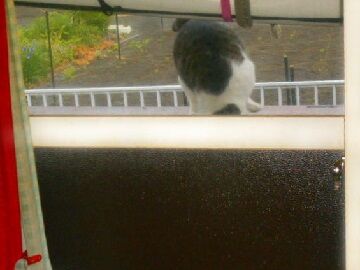 5月10日（25）仮