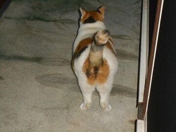 10月1日（18-21）仮