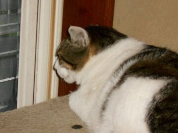 6月30日（16）仮