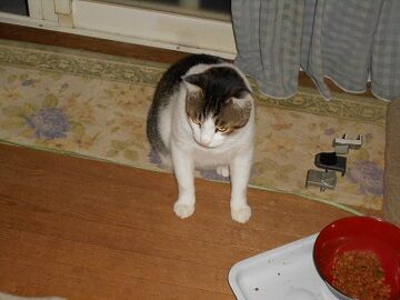 9月28日（21-5）仮