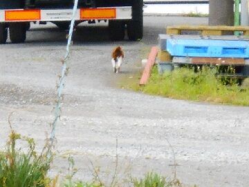 5月18日（102）仮