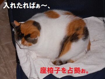 10月7日（5-11）仮