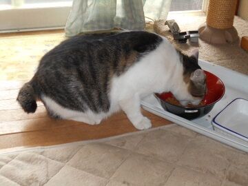 9月25日（9-4）仮