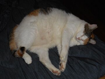 9月22日（7-4）仮