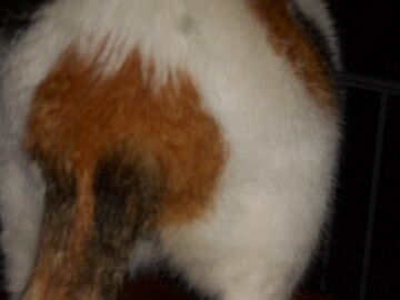 10月1日（19-13）仮