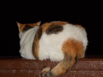 9月12日（22-5）仮