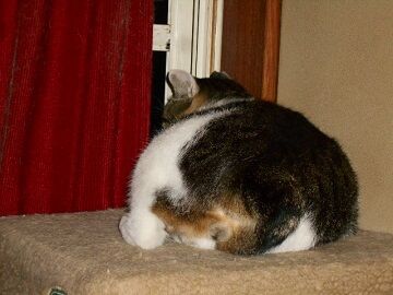 9月25日（19-3）仮