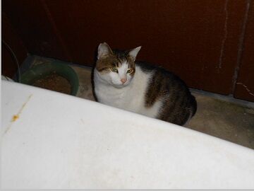 12月8日（63）仮