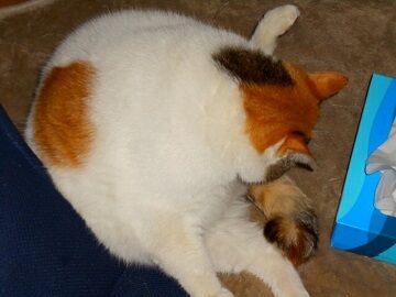 2月16日（14）仮