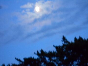 8月30日（30）仮