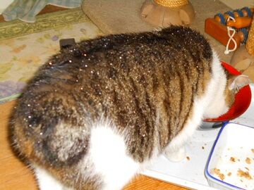 5月10日（34）仮