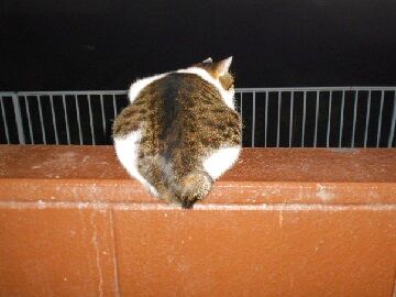 12月23日（16）仮