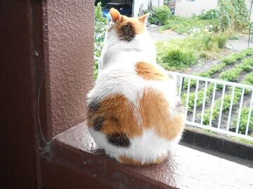 6月29日（18）仮