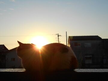 9月15日（23）仮