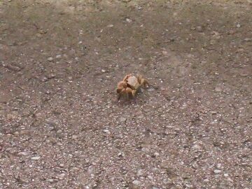 7月23日（12）仮