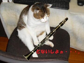 もし有効ならば(4)