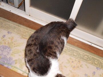 10月7日（20-4）仮