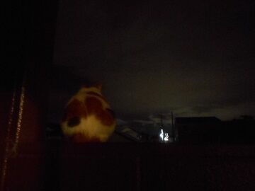 9月23日（22-20）仮