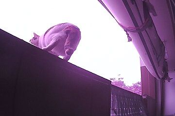 12月30日（5.4）仮