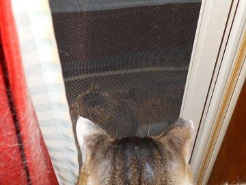 6月12日（26）仮