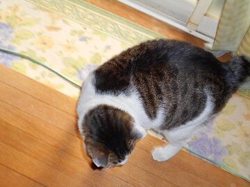 3月17日（23）仮