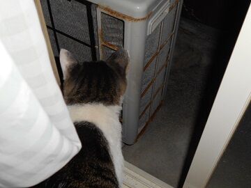 9月17日（19-4）仮