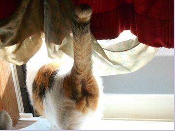 9月26日（42）仮