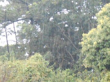 8月14日（21）仮