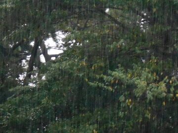 9月26日（7-2）仮