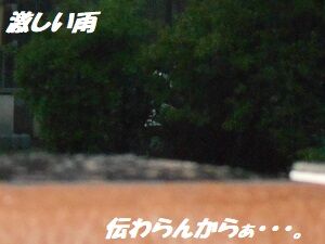 6月28日（10）仮