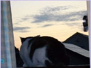 9月30日（10）仮